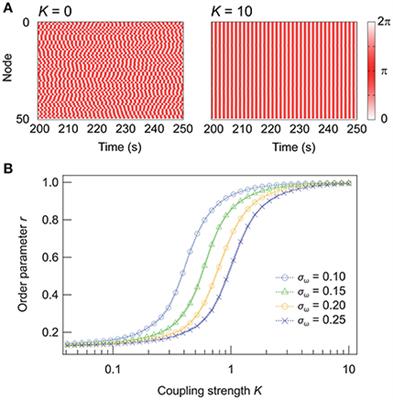 Effective Subnetwork Topology for Synchronizing Interconnected Networks of Coupled Phase Oscillators